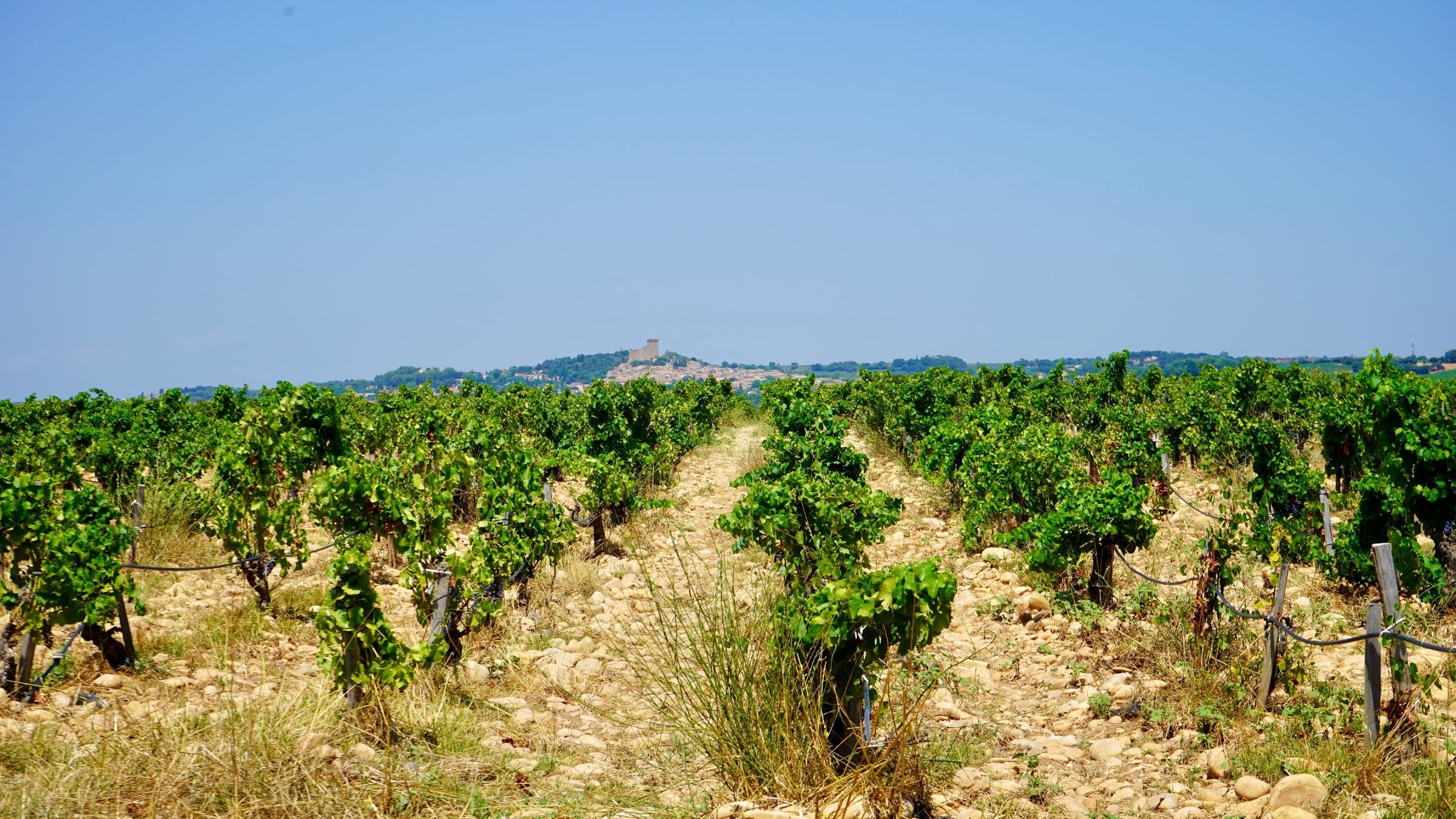 Châteauneuf-du-Pape - France