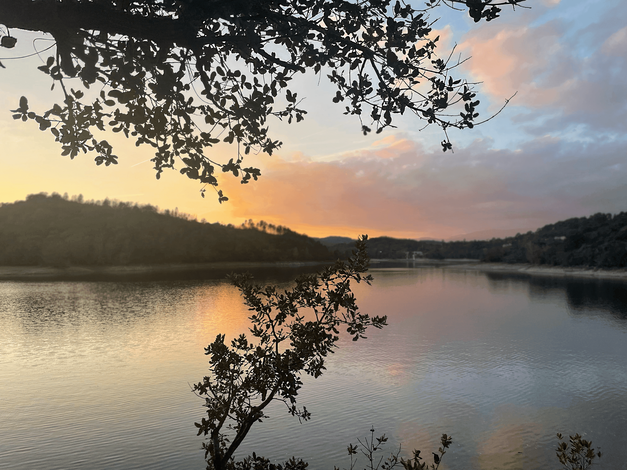 Lac de Saint Cassien, Var, France