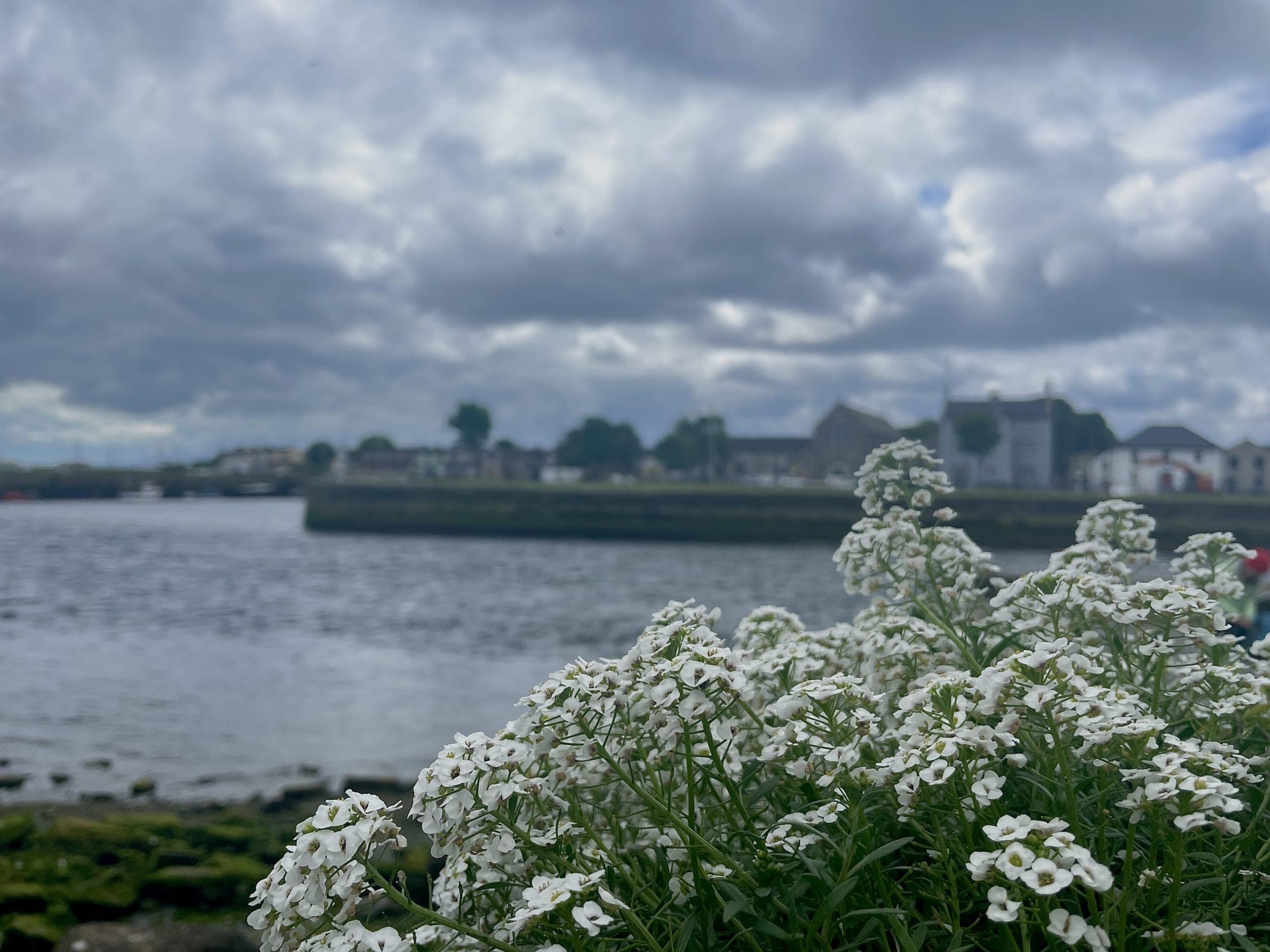 Galway, Irlande
