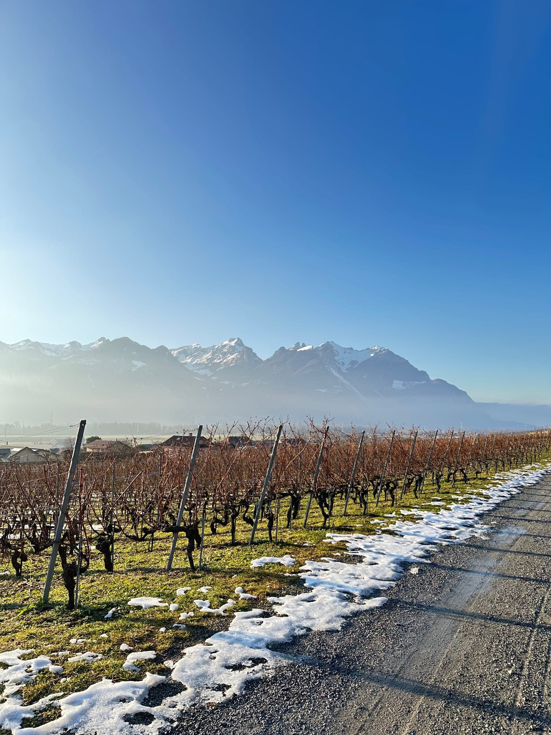 ‎⁨Yvorne⁩ - Suisse