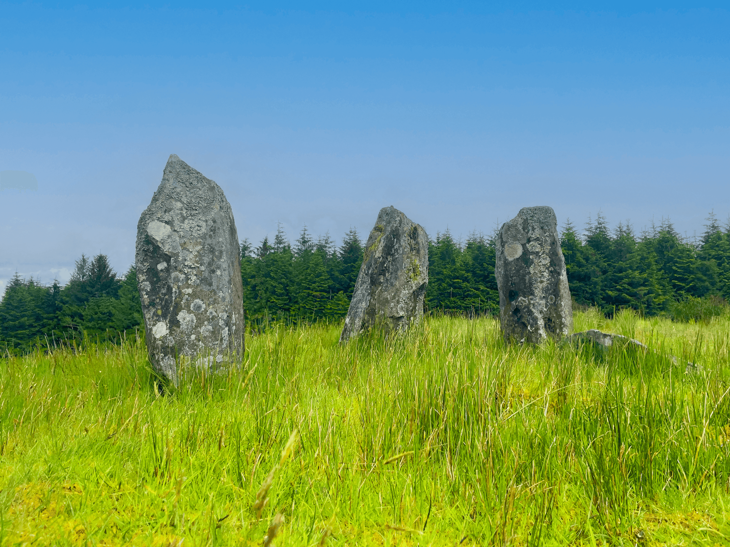 Carriganima, Irlande